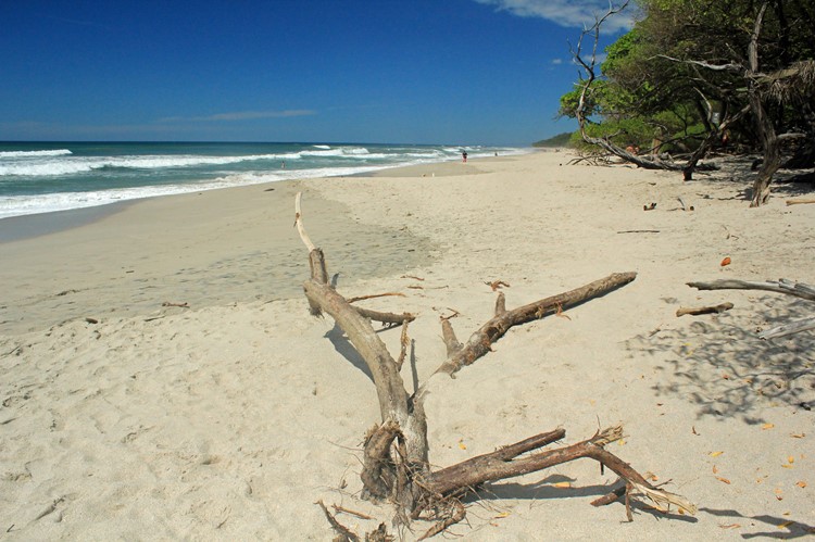 Playa Santa Teresa, Nicoya Peninsula, Costa Rica